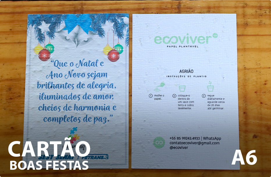 CARTAO-BOAS-FESTAS-A6.png